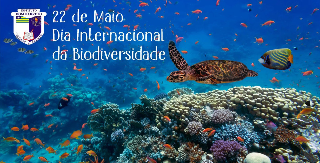Dia Internacional da Biodiversidade
